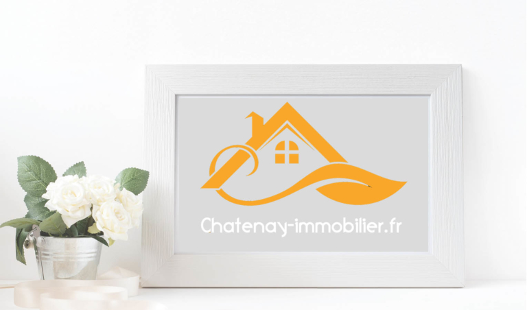 Chatenay immobilier ardoise