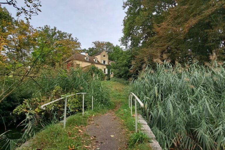 l ile verte chatenay malabry maison